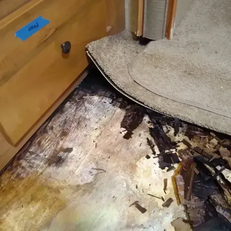 Wood Floor Water Damage in City and Borough of Wrangell, AK